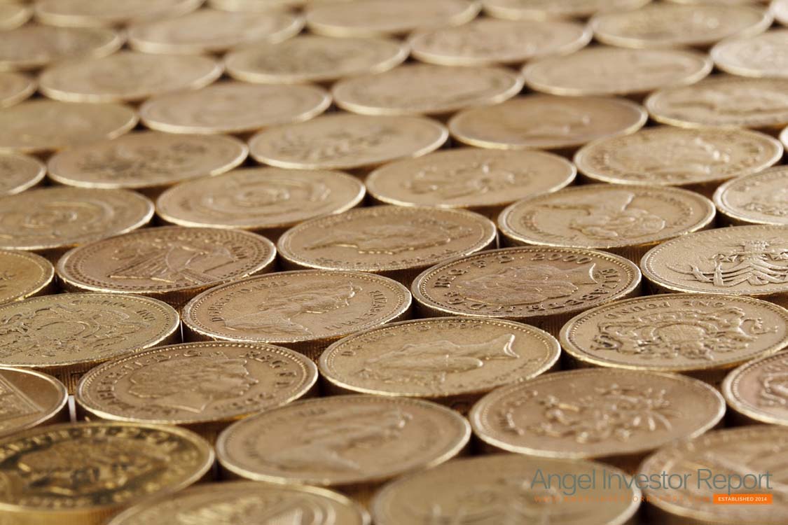 Role Of The Angel Investor: Cash Investment Only